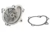 Помпа воды Opel Combo 1.7CDTI/DTI 16V 01-, 48/55/74kw INA 538 0096 10 (фото 1)