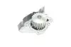 Насос воды Fiat Scudo 96-06/Ducato/Peugeot Boxer/406 1.9D/TD/2.0 94-02 INA 538 0151 10 (фото 8)