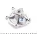 Насос воды Citroen Berlingo/Peugeot Partner 1.6 09- INA 538 0466 10 (фото 7)