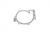 Насос воды Volvo S60/S80/S90/V40/V60 2.0D 15- INA 538 0808 10 (фото 6)