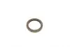 Комплект цепи ГРМ Fiat 500/Doblo/Fiorino/Punto/Citroen Nemo 1.3 03- INA 560 0003 10 (фото 18)