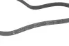 Ремінь генератора Toyota Yaris 99-14/Corolla 92-95/Mazda Premacy 99-05/626 91-02/323 98-04 INA FB 4PK920 (фото 3)
