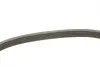 Ремінь генератора Ford Mondeo IV 2.5 07-15/Volvo S60/S80/V60/V70/XC60/XC70 07-16 INA FB 5EPK628 (фото 2)
