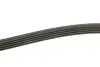 Ремень генератора Mazda 323/626/ Opel Astra G/Vectra B/C 2.0/2.2 00-08 INA FB 5PK1030 (фото 3)