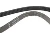 Ремінь генератора Ford Mondeo/Volvo S80/V60/V70/XC70 2.5 07-17 INA FB 5PK1095 (фото 3)