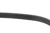 Ремінь генератора Citroen Jumper 2.8HDI 00-/Honda Accord 1.9-2.0 93-98/ Toyota Carina 2.0 96-97 INA FB 5PK1100 (фото 3)