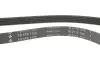 Ремень генератора Citroen/Fiat (5PK1190) INA FB5PK1190 (фото 4)