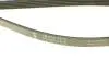 Ремень генератора BMW 5 (E39) M51 D25/Opel Omega B 2.5D/2.5TD 94-03 INA FB 5PK1815 (фото 3)
