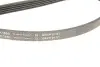 Ремінь генератора BMW 5 (E39)/7 (E38) 2.5TDS 96-04/Kia Cerato/Rio/Hyundai Accent 1.5/1.6CRDI 05- (5PK1850) INA FB 5PK1850 (фото 4)