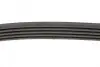 Ремень генератора Land Rover Freelander 1.8 16V 00-06 INA FB 5PK736 (фото 2)