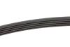 Ремінь генератора BMW 5 (E39) 520i/523i/528i 90-/Hyundai XG 3.0-3.5 98-05/Mitsubishi Colt 1.5 05-12 INA FB 5PK906 (фото 2)