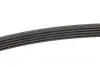 Ремень генератора BMW 5 (E39) 520i/523i/528i 90-/Hyundai XG 3.0-3.5 98-05/Mitsubishi Colt 1.5 05-12 INA FB 5PK906 (фото 2)