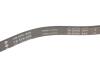 Ремінь генератора BMW 5 (E39) 520i/523i/528i 90-/Hyundai XG 3.0-3.5 98-05/Mitsubishi Colt 1.5 05-12 INA FB 5PK906 (фото 3)