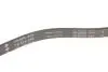 Ремень генератора BMW 5 (E39) 520i/523i/528i 90-/Hyundai XG 3.0-3.5 98-05/Mitsubishi Colt 1.5 05-12 INA FB 5PK906 (фото 3)