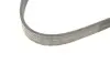 Ремень генератора Ford Focus/Fiesta/Fusion 1.25-1.6 99-12/Mazda 2 1.25-1.6 03-07 INA FB 6EPK1042 (фото 4)