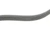 Ремінь генератора VW Polo/Up 11-/Skoda Fabia 14-/Seat Ibiza 1.0/1.6 15- (6PK989) INA FB 6EPK989 (фото 3)