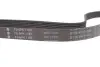Ремень генератора Citroen Jumper/Fiat Ducato/Peugeot Boxer 2.0/2.2HDi/JTD 02- INA FB 6PK1180 (фото 4)