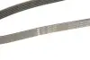 Ремень генератора Opel Astra 1.7CDTi 03-/Renault Megane/Laguna 1.9-3.0 97-03/BMW 1 (E81/E87) 04-11 INA FB 6PK1605 (фото 5)