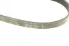 Ремень генератора MB W202/203/VW/Audi 2.4/2.8i INA FB 6PK1760 (фото 4)