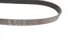 Ремень генератора Land Rover Discovery/Range Rover 2.0/3.0 D 12- INA FB 6PK1935 (фото 3)