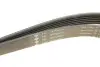 Ремень генератора Jeep Cherokee/Liberty 2.5/2.8 CRD 01- (6PK2870) INA FB 6PK2870 (фото 3)