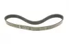 Ремінь генератора Citroen Jumper/Fiat Ducato/Peugeot Boxer 2.0 94- (6PK700) INA FB 6PK700 (фото 1)