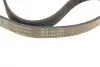 Ремінь генератора Citroen Jumper/Fiat Ducato/Peugeot Boxer 2.0 94- (6PK700) INA FB 6PK700 (фото 3)