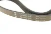 Ремінь генератора Citroen Jumper/Fiat Ducato/Peugeot Boxer 2.0 94- (6PK700) INA FB 6PK700 (фото 4)