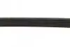 Ремень генератора Citroen Berlingo/Fiat Ducato/Peugeot Boxer/Expert 1.9 D/TD 96-03 (6PK730) INA FB 6PK730 (фото 3)