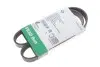 Ремень генератора Peugeot Partner 1.6 HDI 08-/Ford Connect 1.6TDCi 13-(+AC) INA FB 6PK975 (фото 2)
