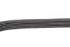 Ремень генератора Peugeot Partner 1.6 HDI 08-/Ford Connect 1.6TDCi 13-(+AC) INA FB 6PK975 (фото 3)