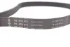 Ремень генератора Peugeot Partner 1.6 HDI 08-/Ford Connect 1.6TDCi 13-(+AC) INA FB 6PK975 (фото 4)