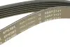 Ремінь генератора BMW 1 (F20/F21)/3 (F30/F80) 1.6i 11-/Honda Civic VII/FR-V 1.7i 01- INA FB 6PK985 (фото 3)