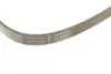 Ремінь генератора BMW 2 Grand Tourer (F45)/X1 (F48) 03/15- (B38A15) INA FB 6XPK1715 (фото 3)