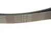 Ремінь генератора Land Rover Range Rover Sport 05-13/Discovery 2.7D 04- (8PK2093) INA FB 8PK2093 (фото 5)