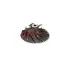 Компрессорное колесо TOYOTA CT VNT JRONE 1200-016-219 (фото 1)