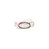 Газомасляне кільце турбіни HOLSET H1C JRONE 2000-020-069 (фото 3)