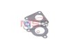 Комплект прокладок турбины RENAULT SCENIC II (JM) 03-08, MEGANE II (LM0/1_) 03-; VOLVO V40 (645) 00-04, S40 I (VS) 00-03 JRONE 2090-505-227 (фото 2)