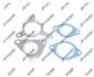 Комплект прокладок турбины NISSAN NAVARA (D40) 05-,PATHFINDER (R51) 05-,NAVARA c бортовой платформой/ходовая часть (D40) 08- JRONE 2090-505-497 (фото 1)