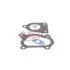 Комплект прокладок турбіни NISSAN PRIMASTAR (X83) 06-; RENAULT TRAFIC II (FL) 06-; OPEL VIVARO A Combi (J7) 06-14 JRONE 2090-505-511 (фото 4)