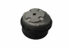 -TEKNOROT DB подушка двигун. W202/210 250D/E200/E230 Kautek ME-EM010 (фото 1)