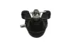 PARTS HYUNDAI кульова опора нижн.прав.H-1,Starex 01- KAVO SBJ-3022 (фото 3)