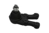PARTS HYUNDAI кульова опора нижн.прав.H-1,Starex 01- KAVO SBJ-3022 (фото 4)
