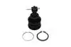PARTS TOYOTA кульова опора Yaris 1.0 05-11, 1.8 07-11 KAVO SBJ-9034 (фото 1)