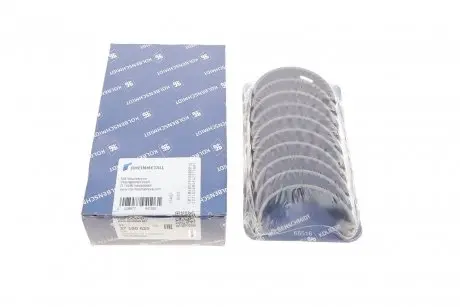 Вкладыши коренные VW Crafter/T6 2.0TDI 15- (+0.50) KOLBENSCHMIDT 37100620