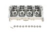 Головка блока цилиндров VW T5 1.9TDI/Caddy 1.9TDI/2.0SDI 03- KOLBENSCHMIDT 50003131 (фото 1)