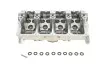 Головка блока цилиндров VW T5 1.9TDI/Caddy 1.9TDI/2.0SDI 03- KOLBENSCHMIDT 50003131 (фото 1)