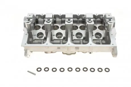 Головка блока цилиндров VW T5 1.9TDI/Caddy 1.9TDI/2.0SDI 03- KOLBENSCHMIDT 50003131