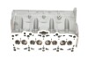 Головка блока цилиндров VW T5 1.9TDI/Caddy 1.9TDI/2.0SDI 03- KOLBENSCHMIDT 50003131 (фото 5)