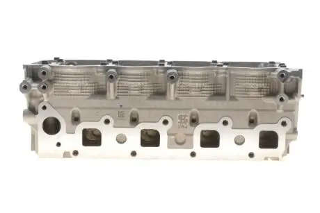 Головка блоку циліндрів Nissan Pathfinder 2.5 dCi/X-Trail 2.2 dCi 01- KOLBENSCHMIDT 50003175